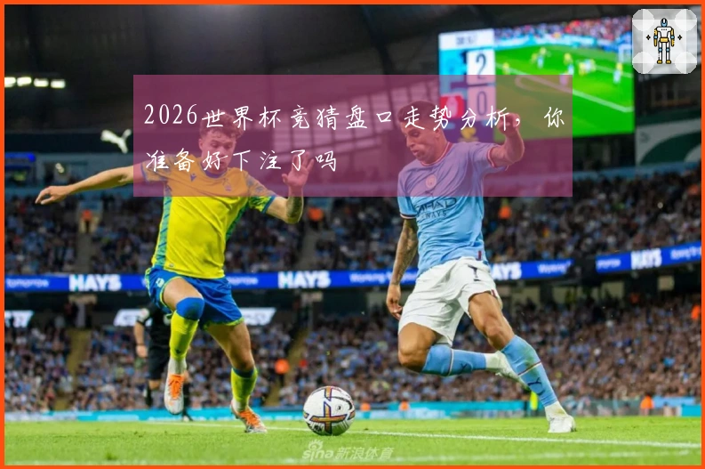 2026世界杯竞猜盘口走势分析，你准备好下注了吗