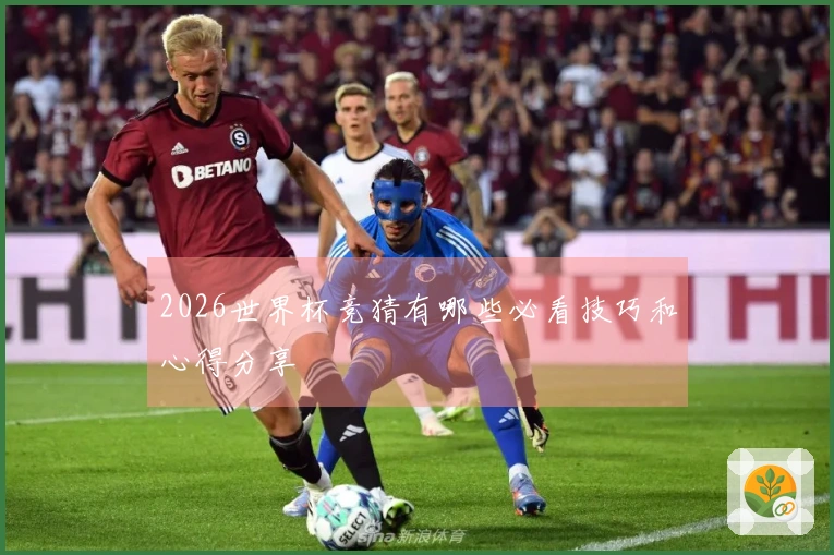 2026世界杯竞猜有哪些必看技巧和心得分享