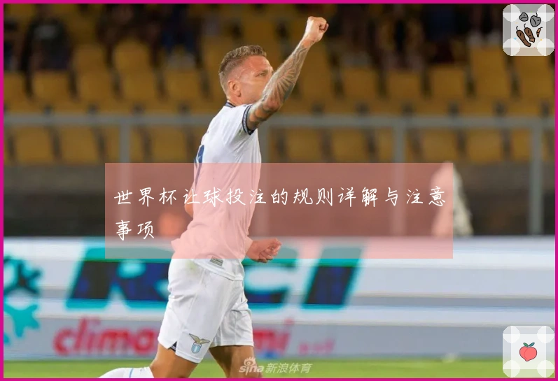 世界杯让球投注的规则详解与注意事项