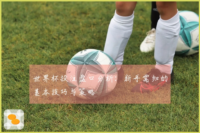 世界杯投注盘口分析：新手需知的基本技巧与策略