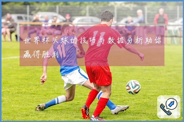 世界杯买球的技巧与数据分析助你赢得胜利
