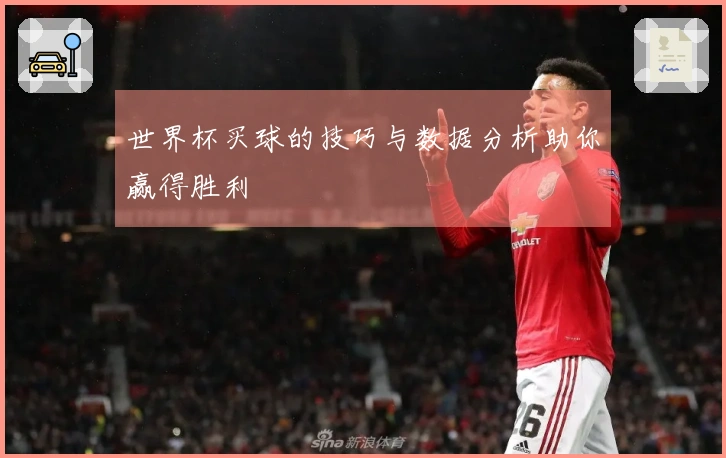 世界杯买球的技巧与数据分析助你赢得胜利