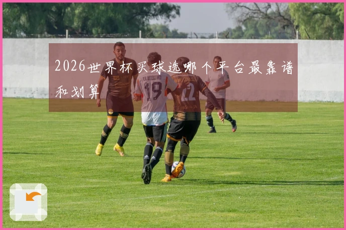 2026世界杯买球选哪个平台最靠谱和划算