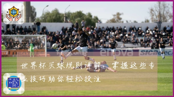 世界杯买球规则详解，掌握这些专业技巧助你轻松投注